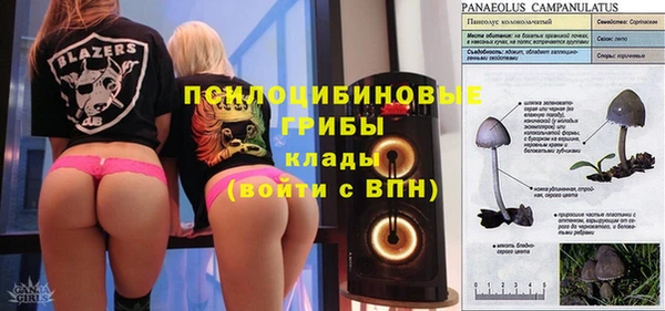 гидропоника Алексин