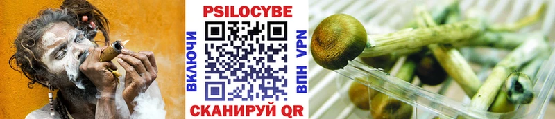 Галлюциногенные грибы мицелий  как найти закладки  Малоархангельск 